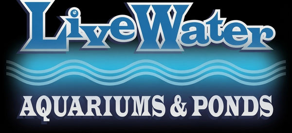Live Water Aquariums 
